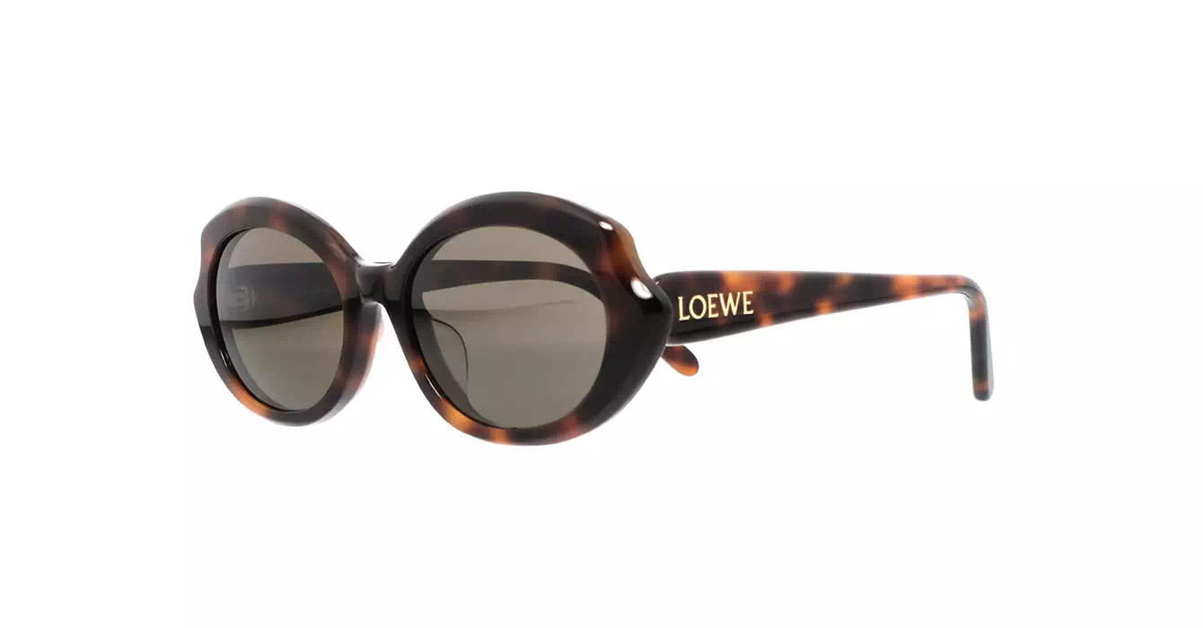 Loewe LW40147F 52E s55