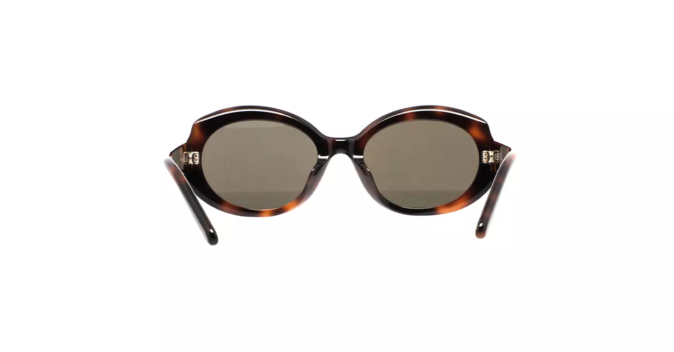 Loewe LW40147F 52E s55