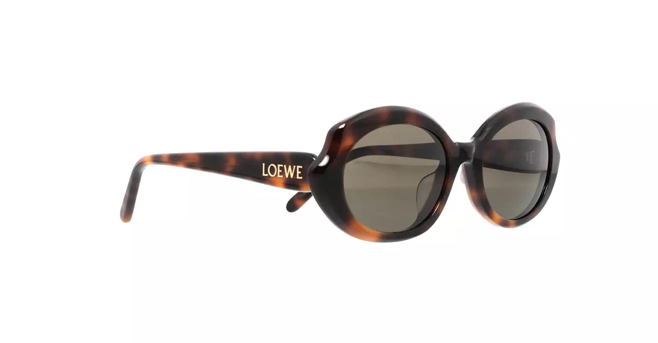 Loewe LW40147F 52E s55