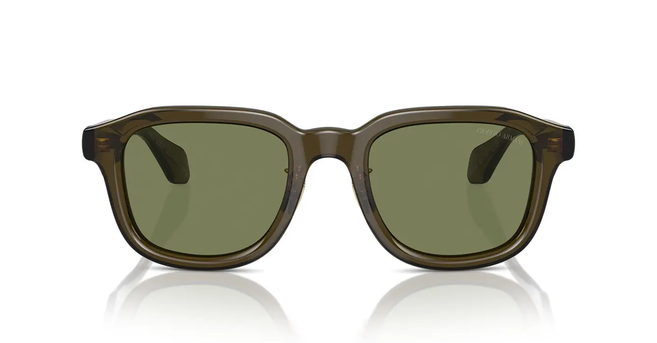Giorgio Armani AR8206 6061/2A s51