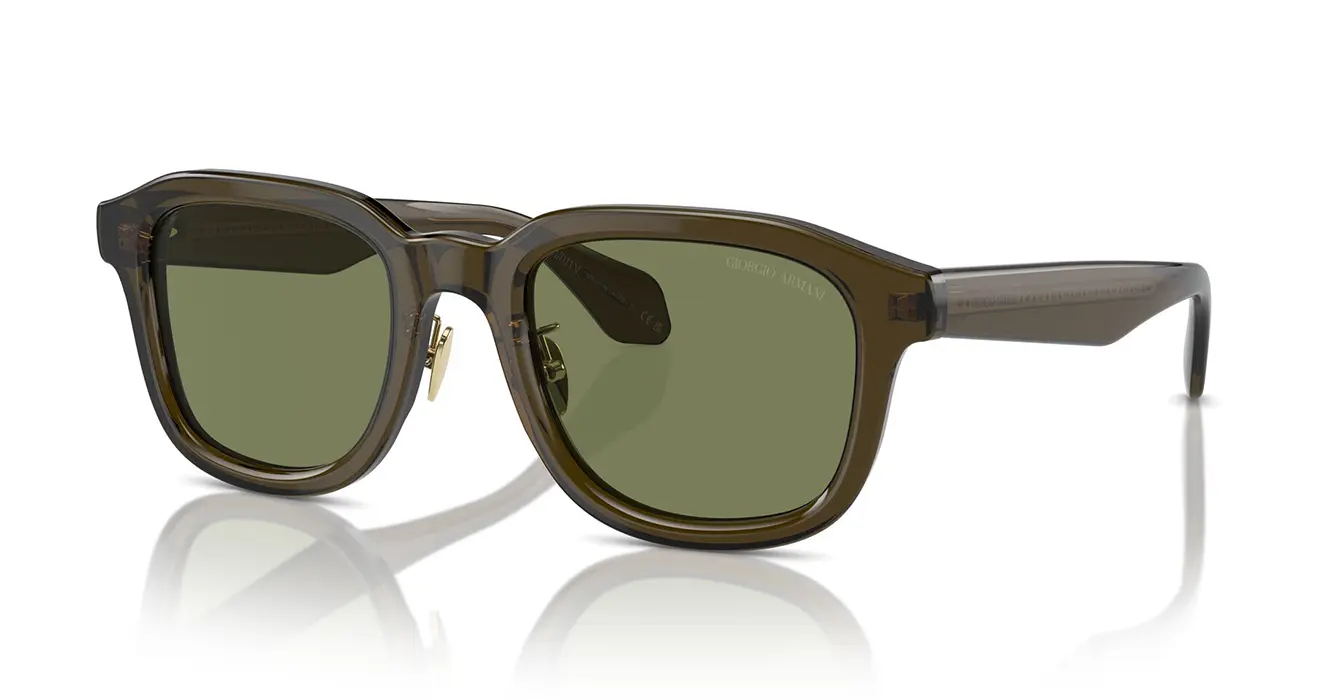Giorgio Armani AR8206 6061/2A s51