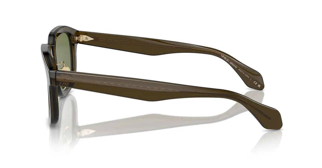 Giorgio Armani AR8206 6061/2A s51