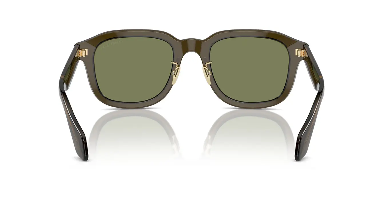 Giorgio Armani AR8206 6061/2A s51