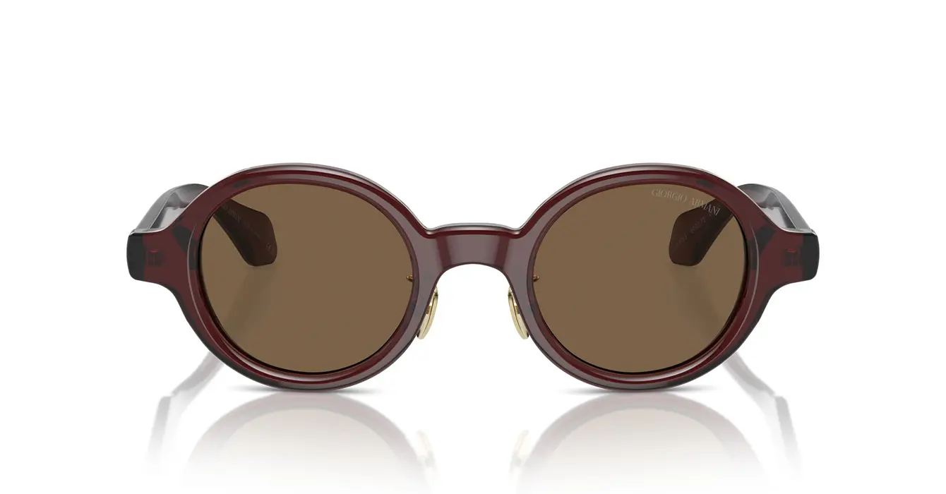 Giorgio Armani AR8205 6062/73 s46