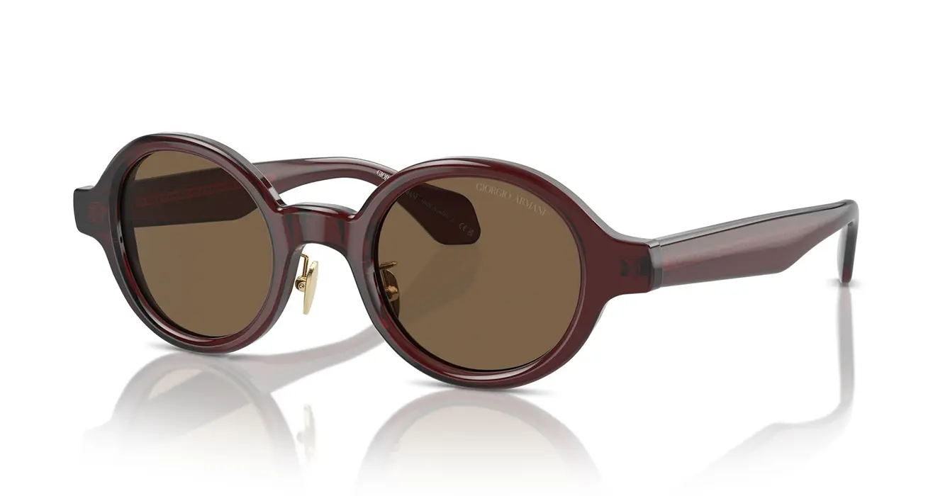 Giorgio Armani AR8205 6062/73 s46