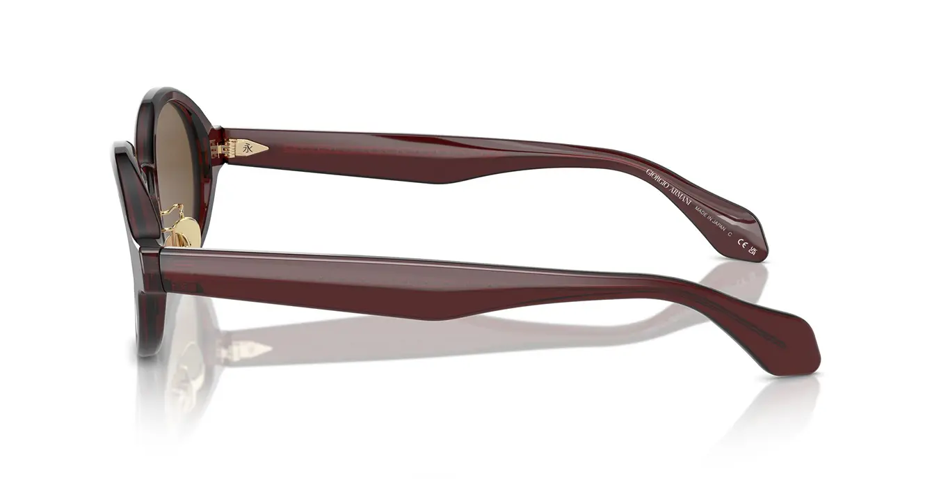 Giorgio Armani AR8205 6062/73 s46