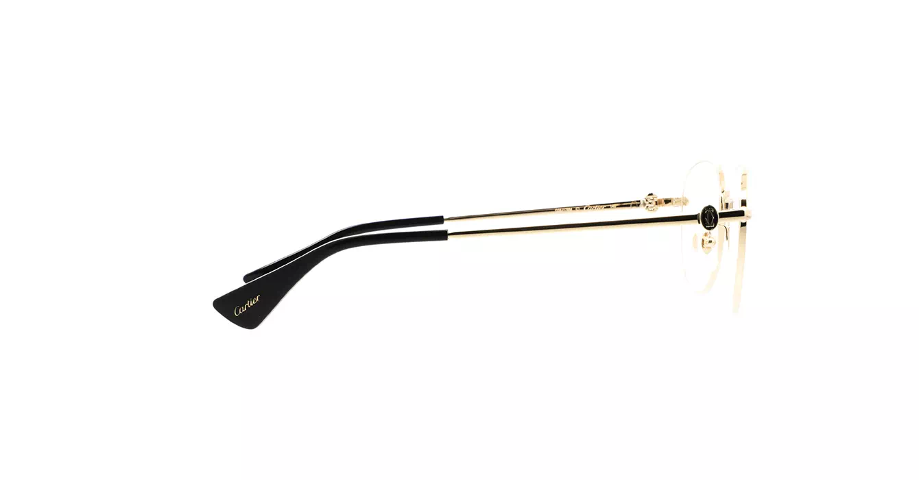 Cartier CT0491OA 001 s53