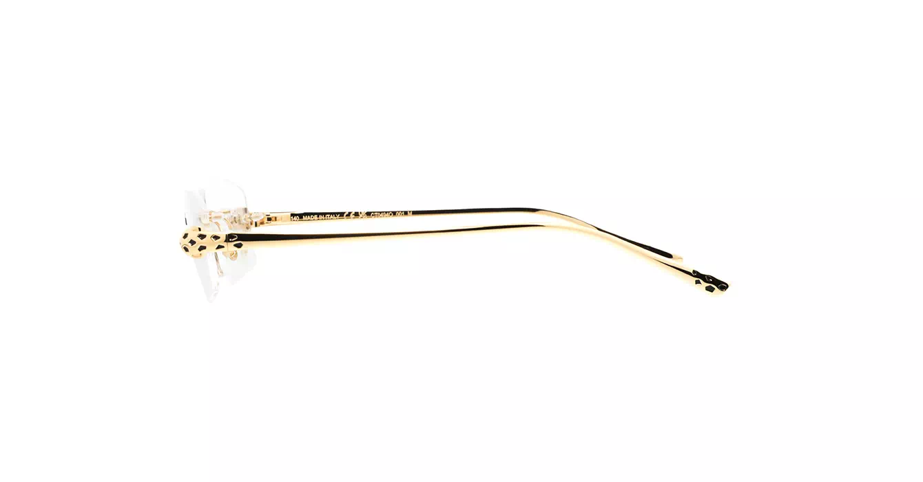 Cartier CT0494O 001 s55