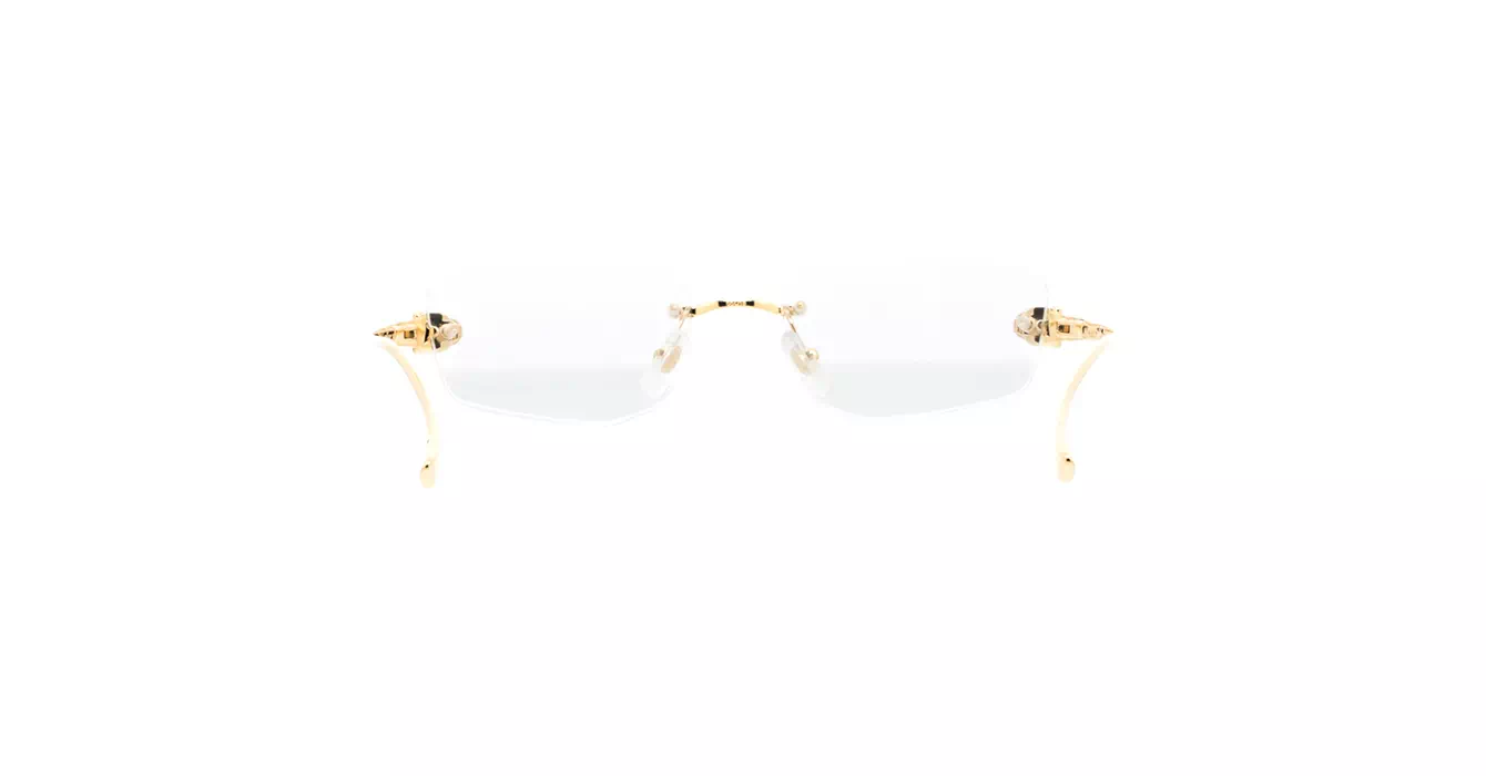 Cartier CT0494O 001 s55