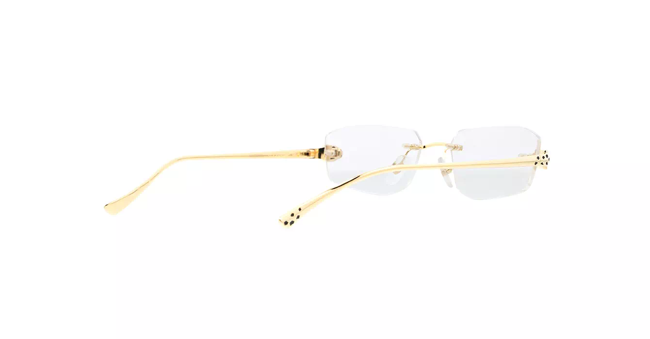 Cartier CT0494O 001 s55