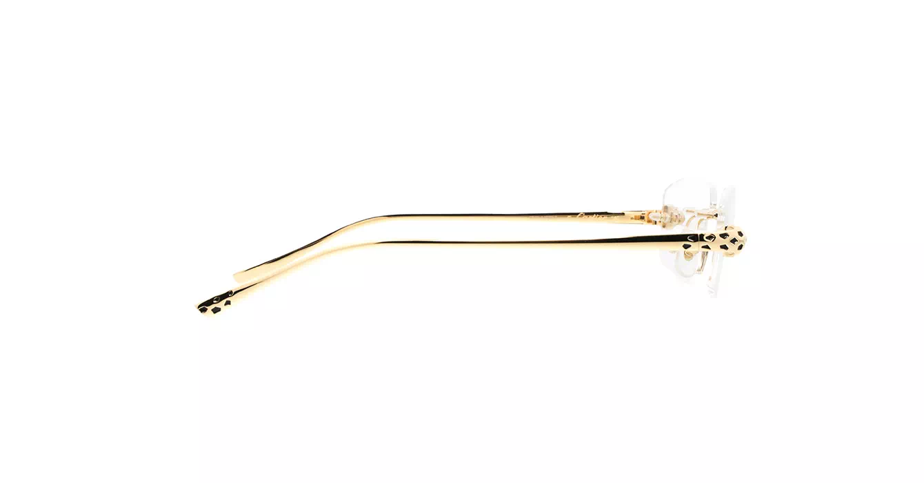 Cartier CT0494O 001 s55