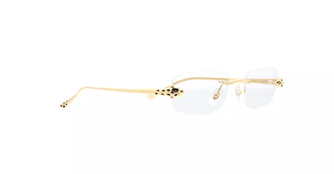 Cartier CT0494O 001 s55