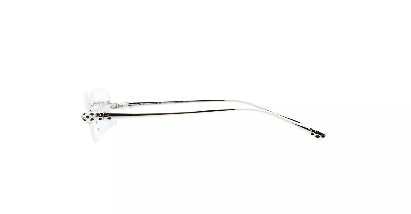 Cartier CT0494O 002 s55
