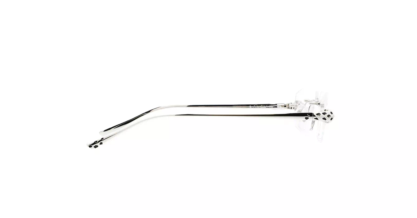 Cartier CT0494O 002 s55