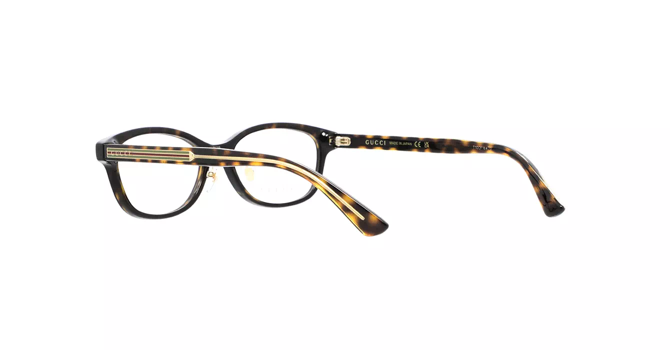 Gucci GG1612OJ 002 s54