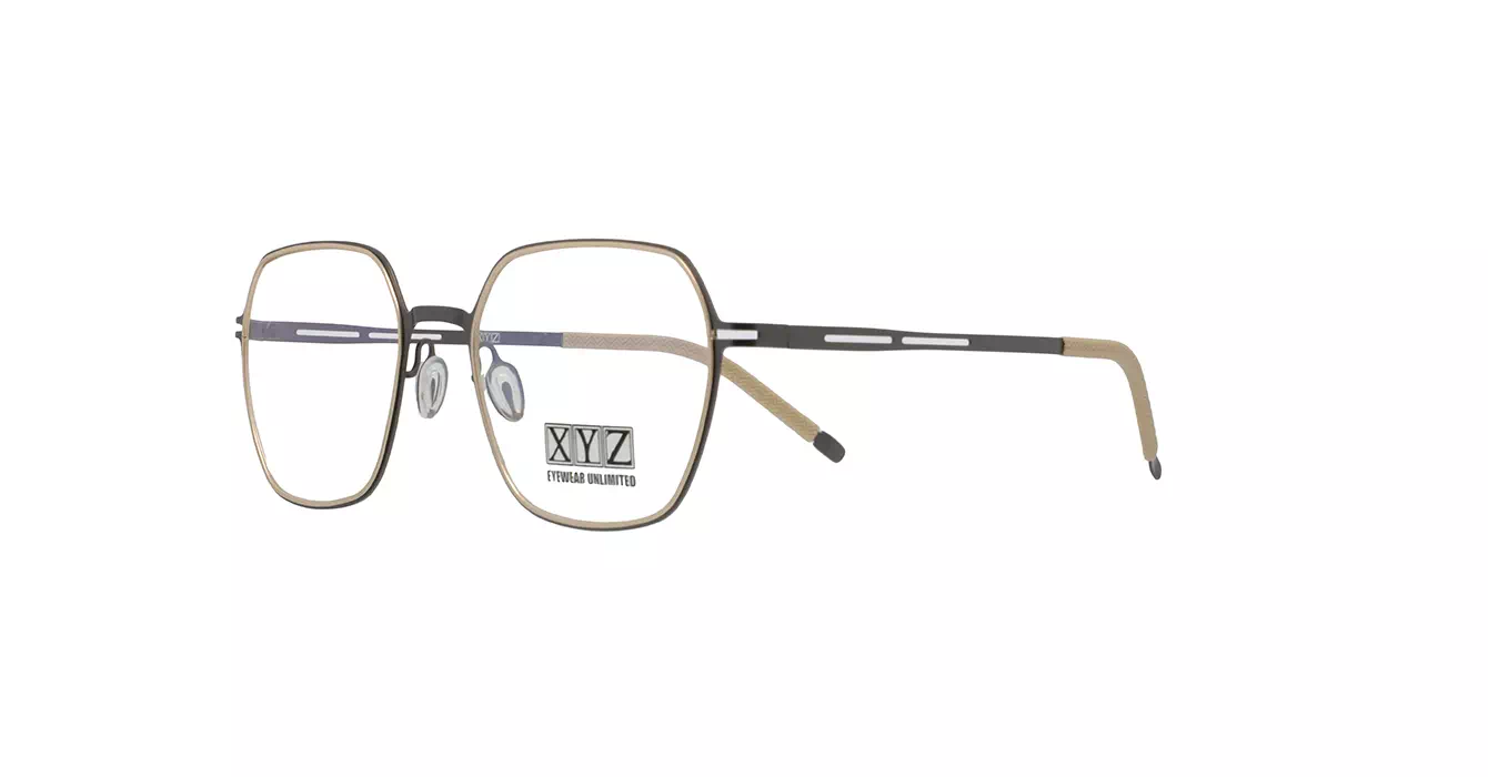 XYZ 86002 C4 s54
