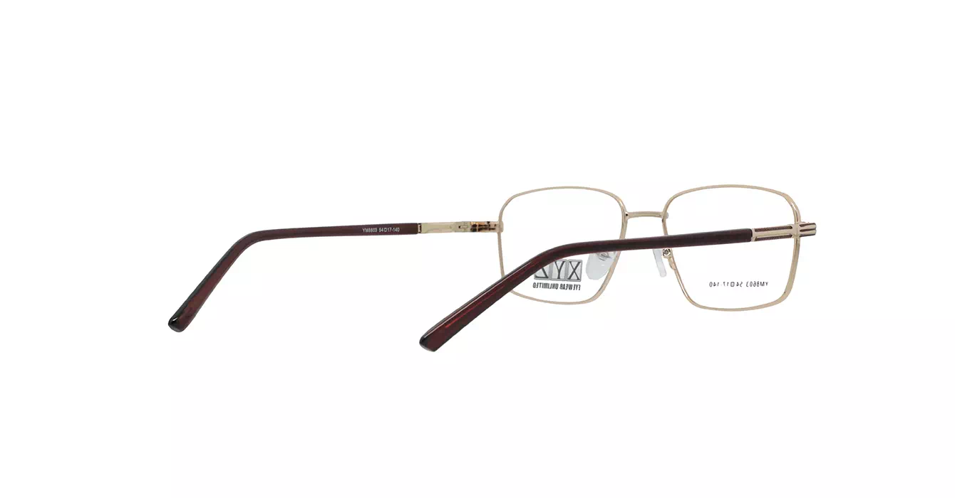XYZ YM8603 C6 s54