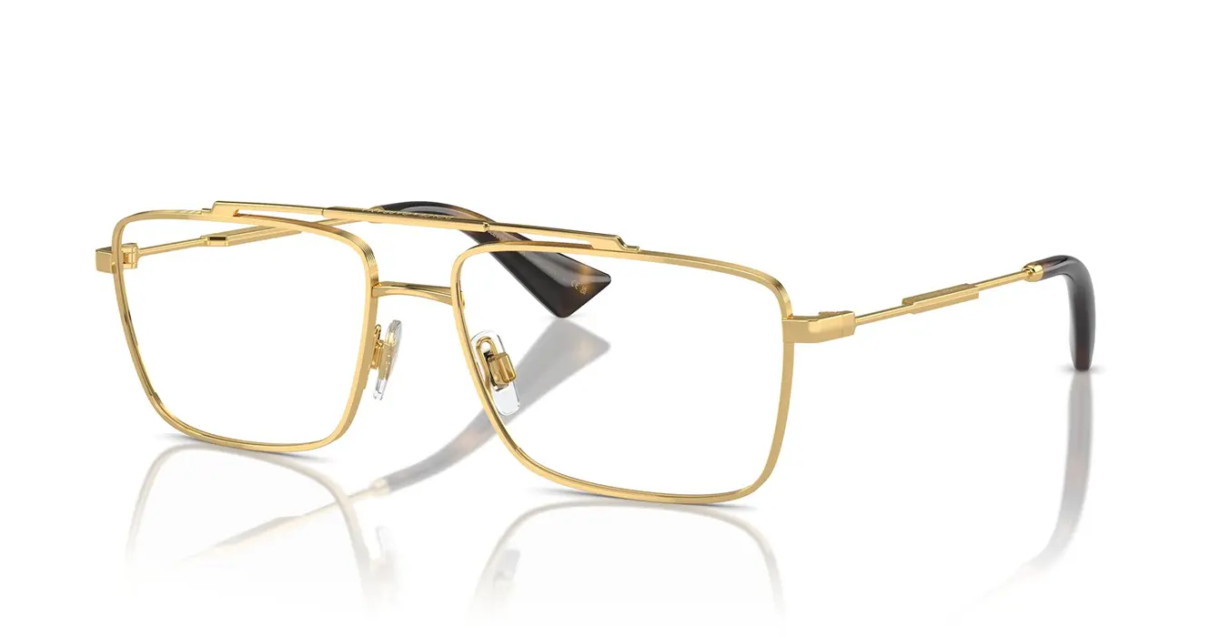 Dolce & Gabbana 1354 02 s56