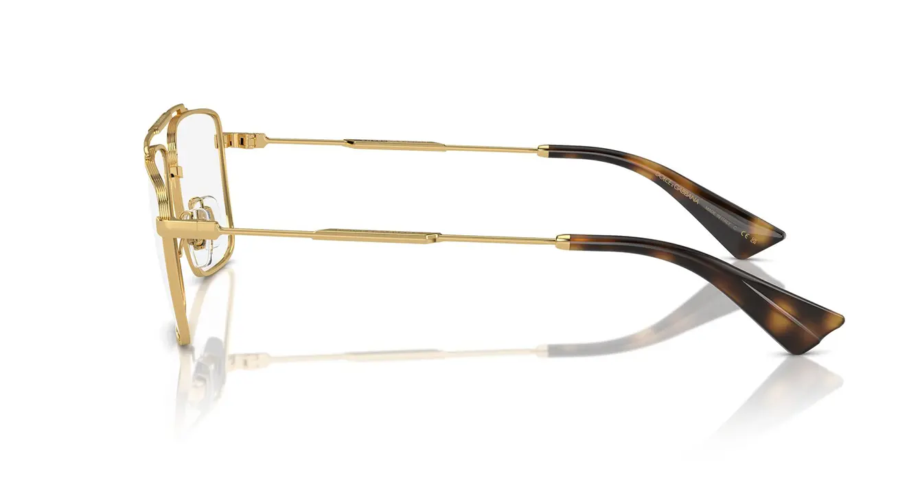 Dolce & Gabbana 1354 02 s56