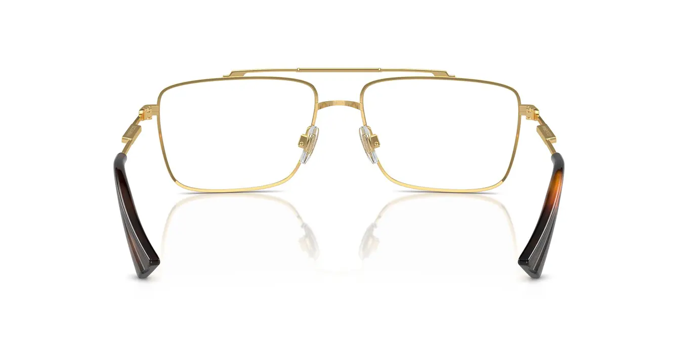 Dolce & Gabbana 1354 02 s56