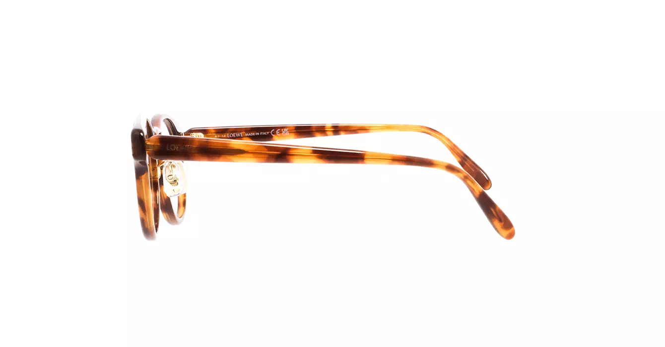 Loewe LW50085F 053 s49