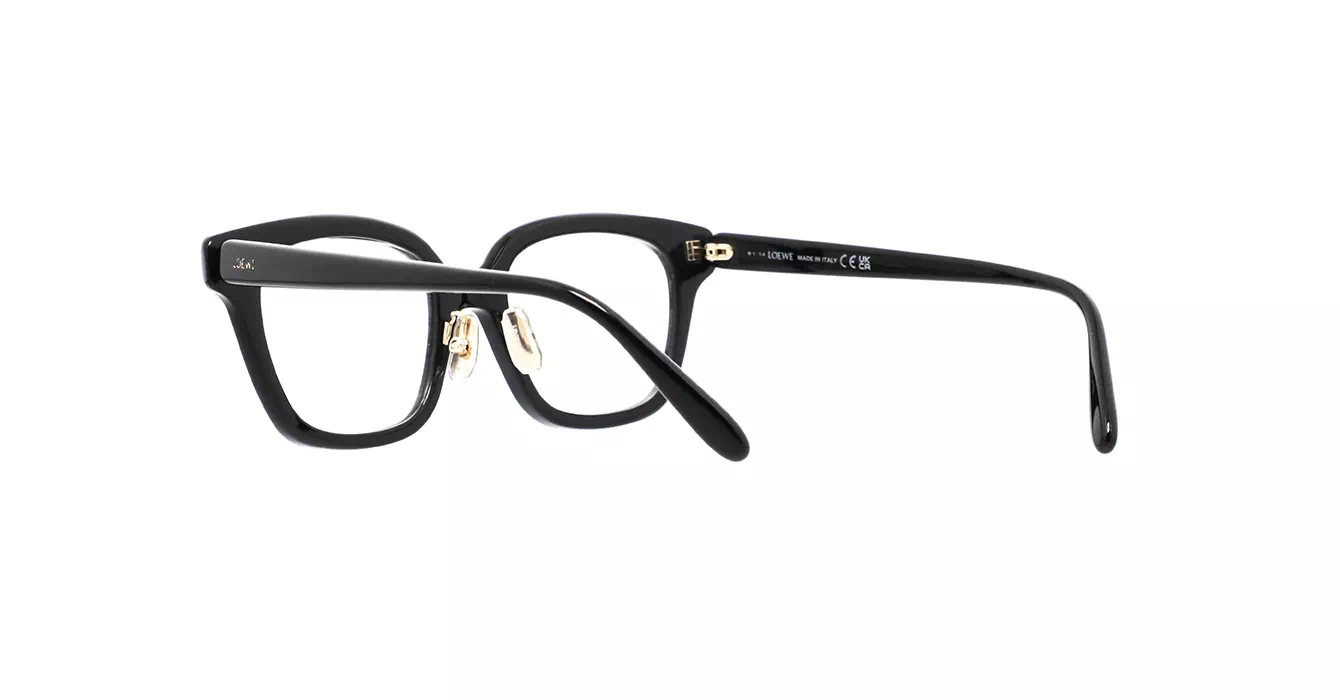 Loewe LW50083F 001 s51