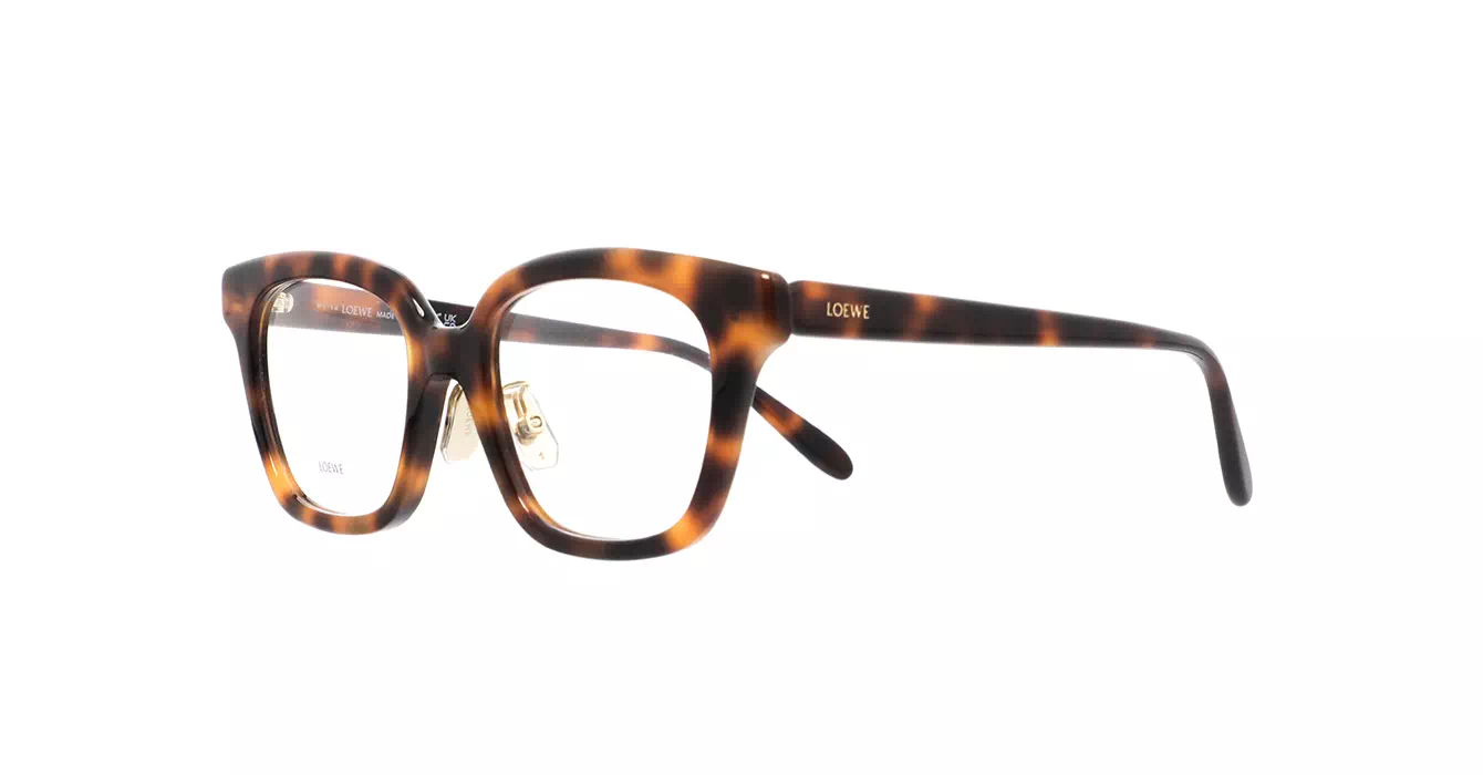Loewe LW50083F 052 s51