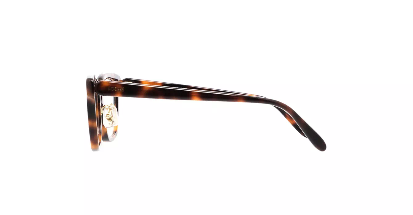 Loewe LW50083F 052 s51