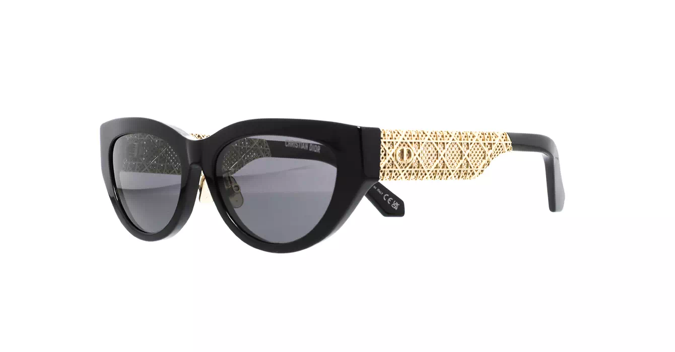 Dior Esille B1F CD40174F 10A0 s56