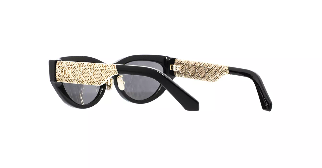 Dior Esille B1F CD40174F 10A0 s56
