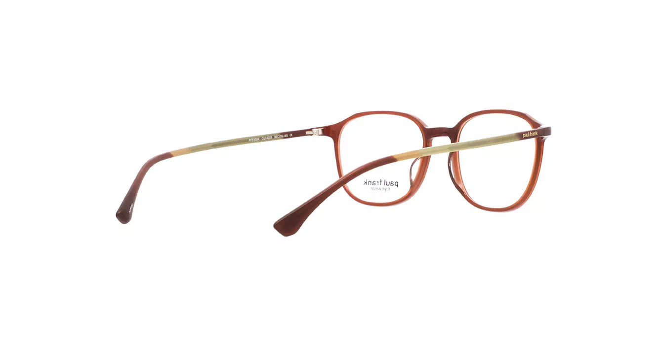 Paul Frank PFF8354 4025 s50