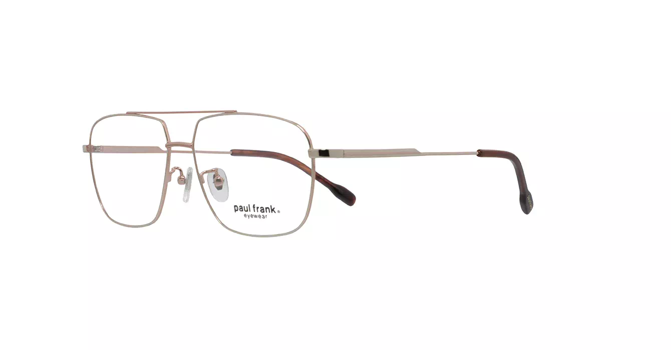Paul Frank PFF8355 3333 s58