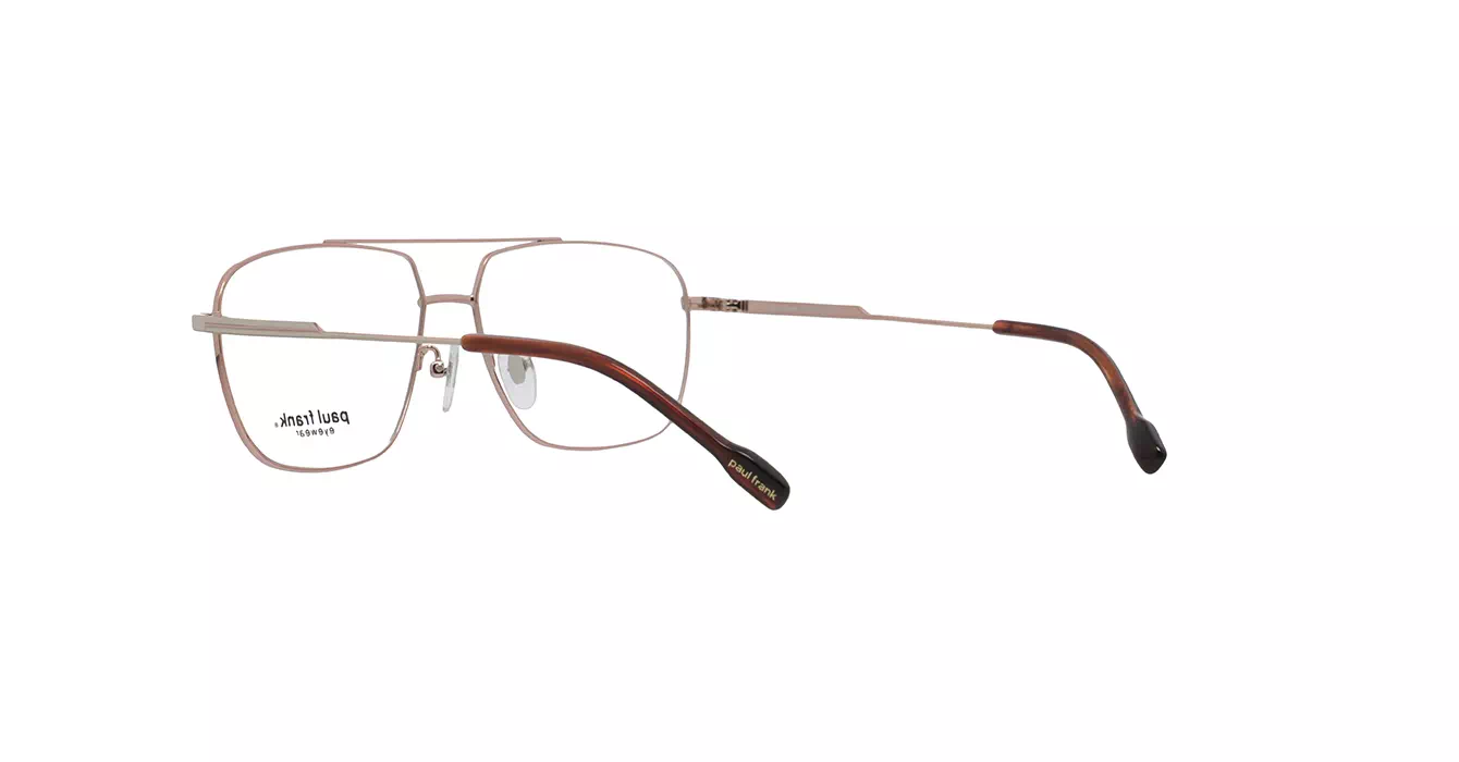 Paul Frank PFF8355 3333 s58