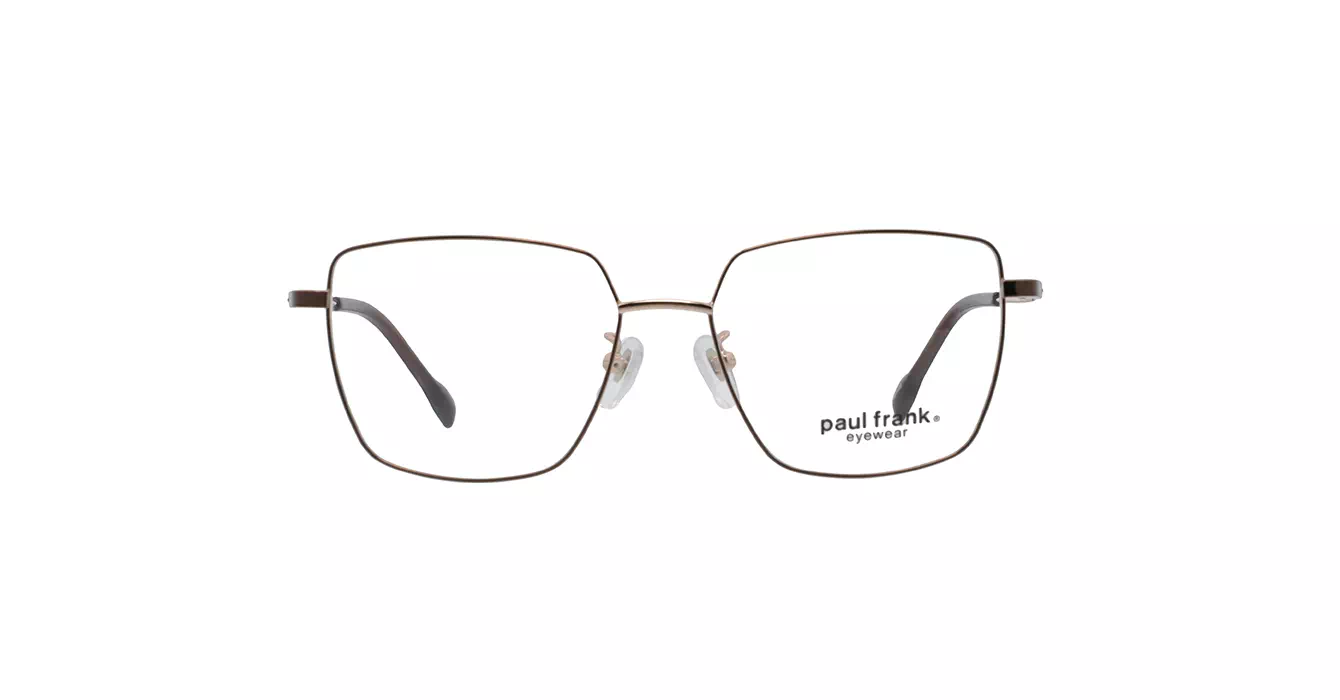 Paul Frank PFF8358 4033 s53