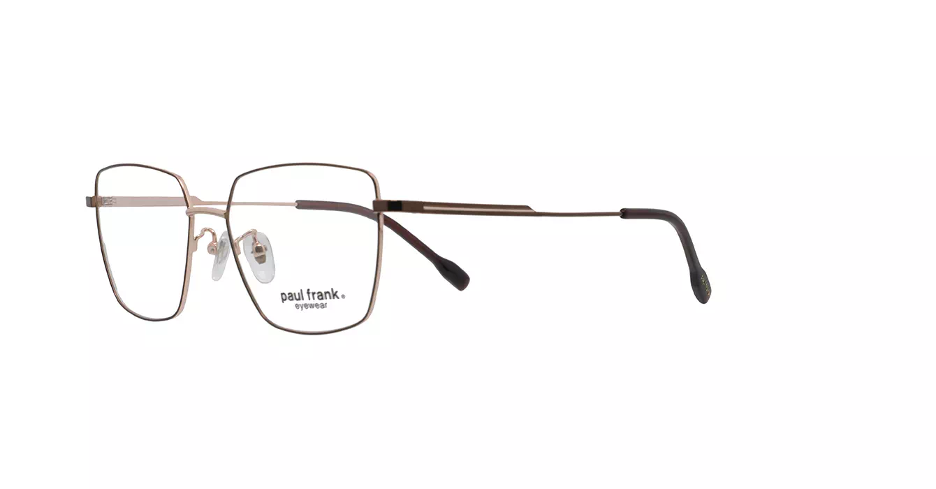 Paul Frank PFF8358 4033 s53