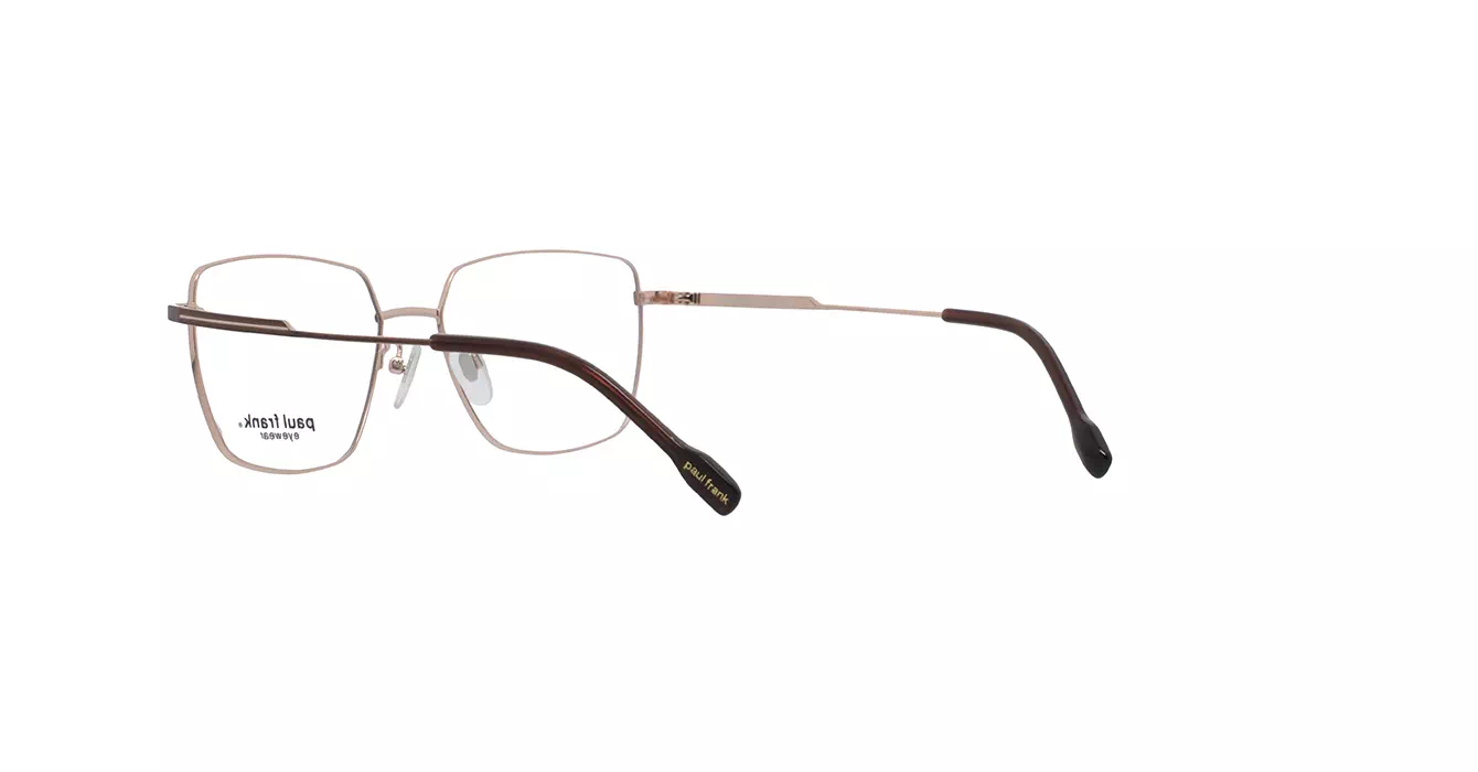 Paul Frank PFF8358 4033 s53