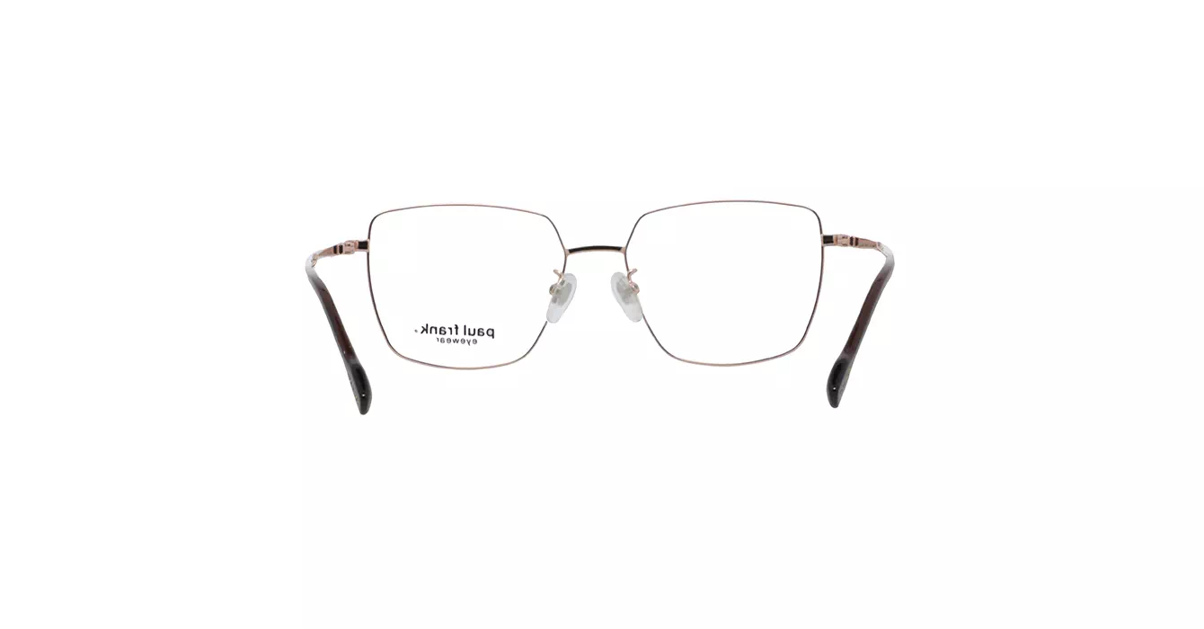 Paul Frank PFF8358 4033 s53