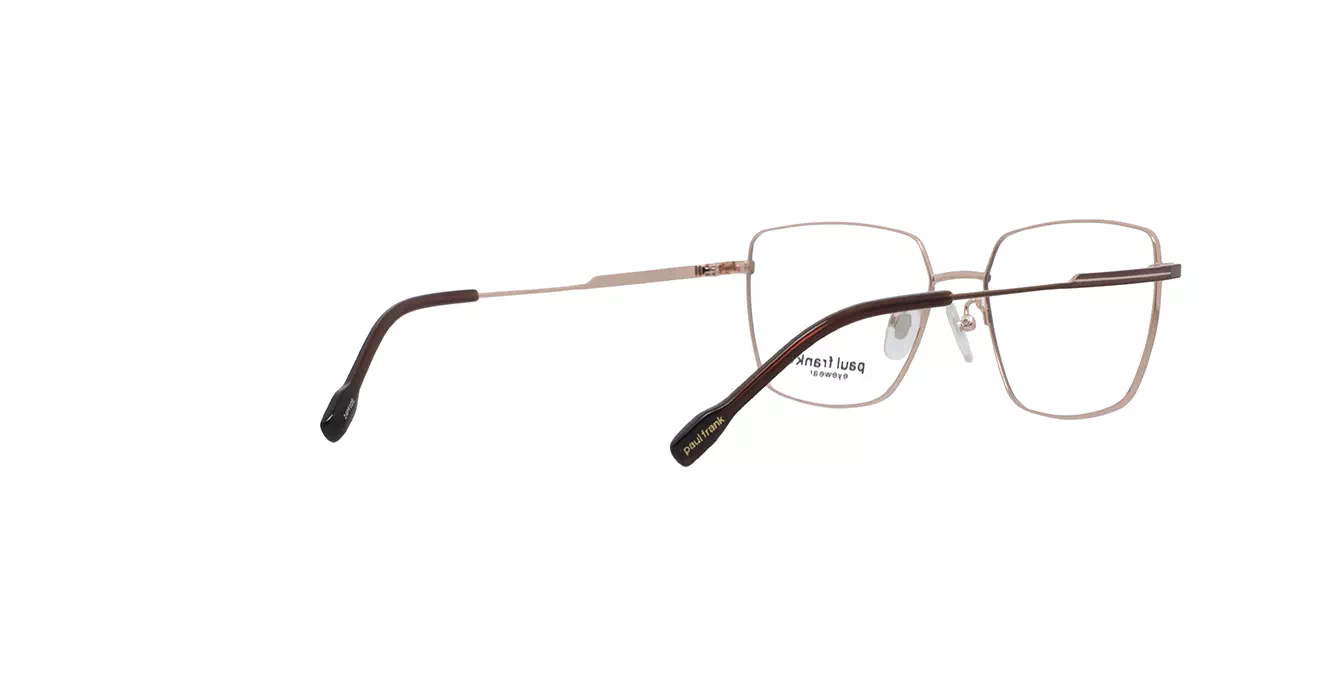 Paul Frank PFF8358 4033 s53