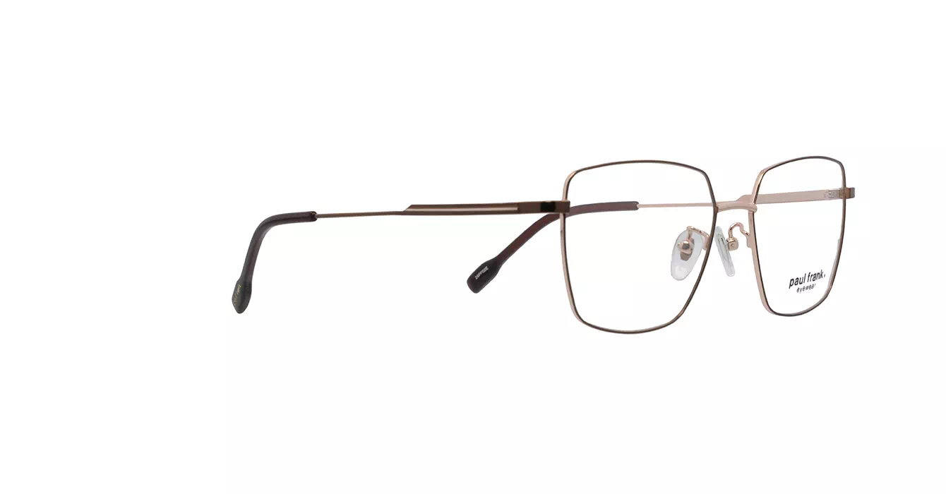 Paul Frank PFF8358 4033 s53