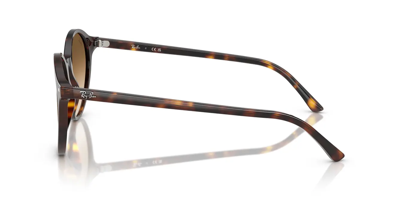 Ray-Ban RB2230F 902/51 s51