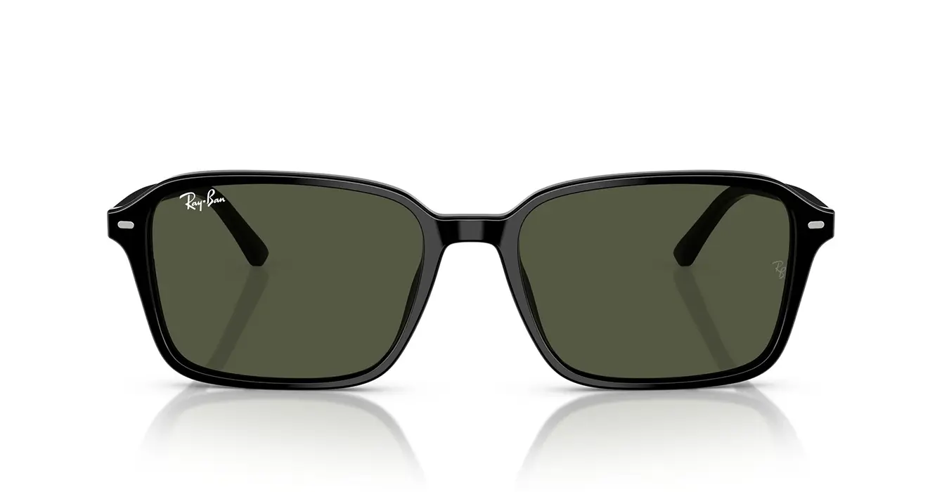 Ray-Ban RB2231F 901/31 s56