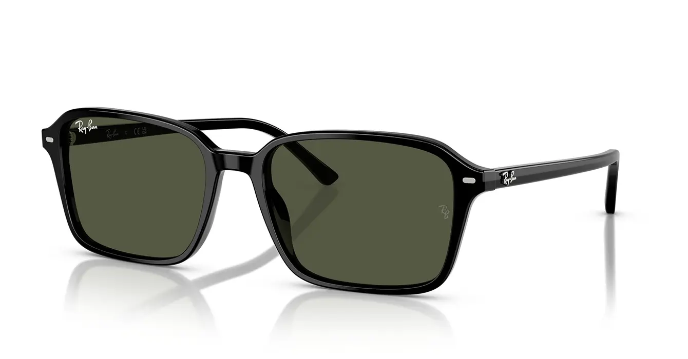 Ray-Ban RB2231F 901/31 s56