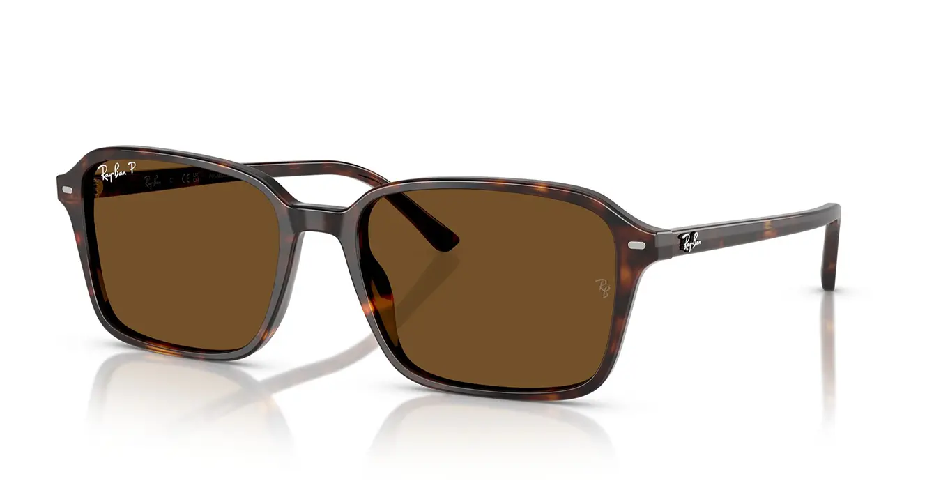 Ray-Ban RB2231F 902/57 s56