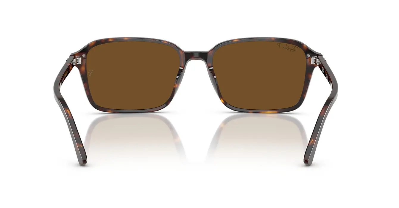 Ray-Ban RB2231F 902/57 s56