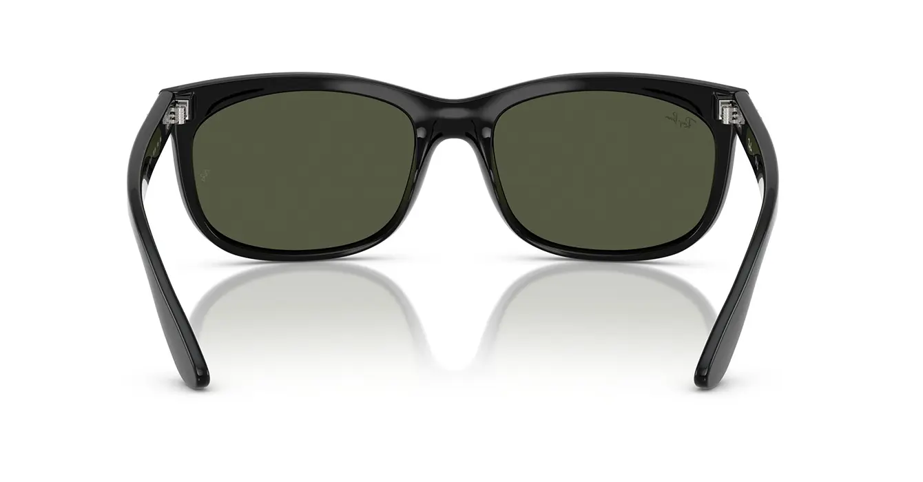 Ray-Ban RB2389F 901/31 s60