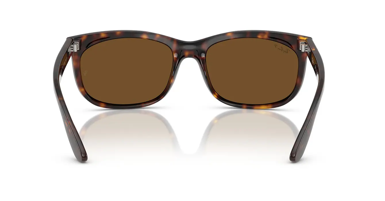 Ray-Ban RB2389F 902/57 s60