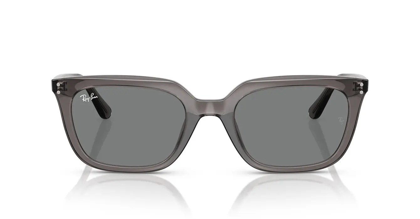 Ray-Ban RB4439D 6675/87 s54