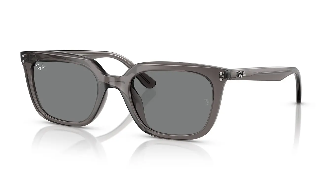 Ray-Ban RB4439D 6675/87 s54