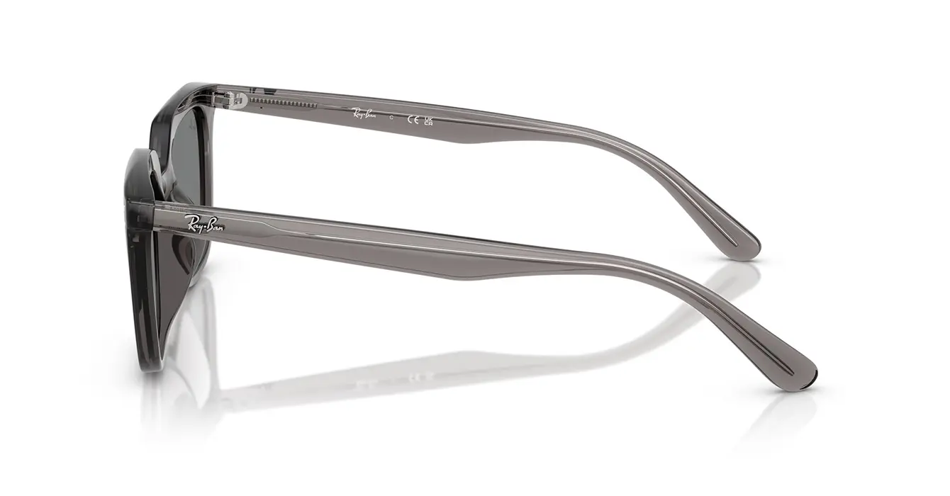 Ray-Ban RB4439D 6675/87 s54