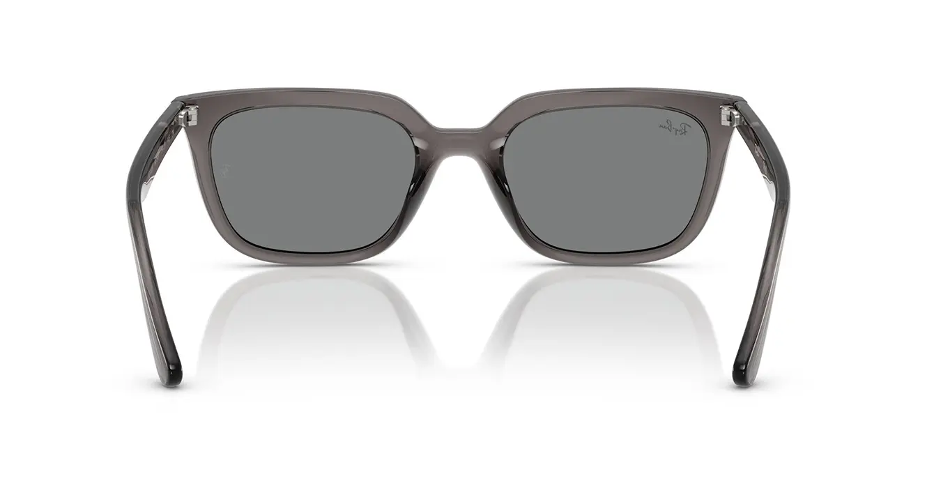 Ray-Ban RB4439D 6675/87 s54
